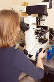 Female medical student viewing microscope